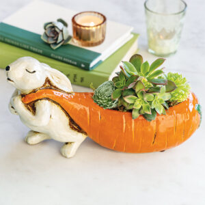 Big Carrot & Bunny Succulent