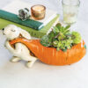 Big Carrot & Bunny Succulent