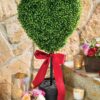 Heart Boxwood Topiary