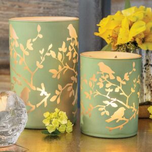 Birds & Branches Hurricanes