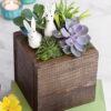 Spring Bunnies Succulent