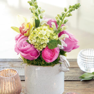 Climbing Bunny Potager