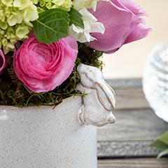 Climbing Bunny Potager Image 2